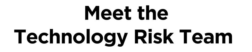 Meet the Technology Risk Team bl