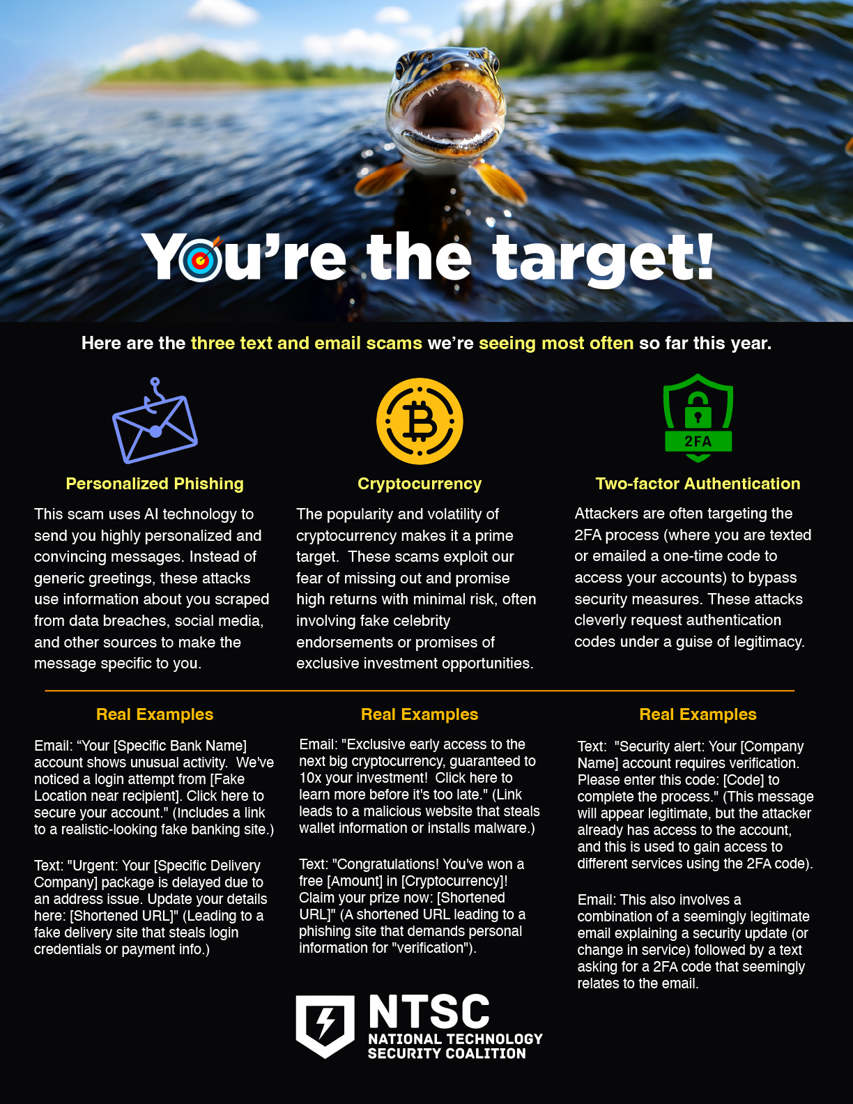 Ntsc | you're the target