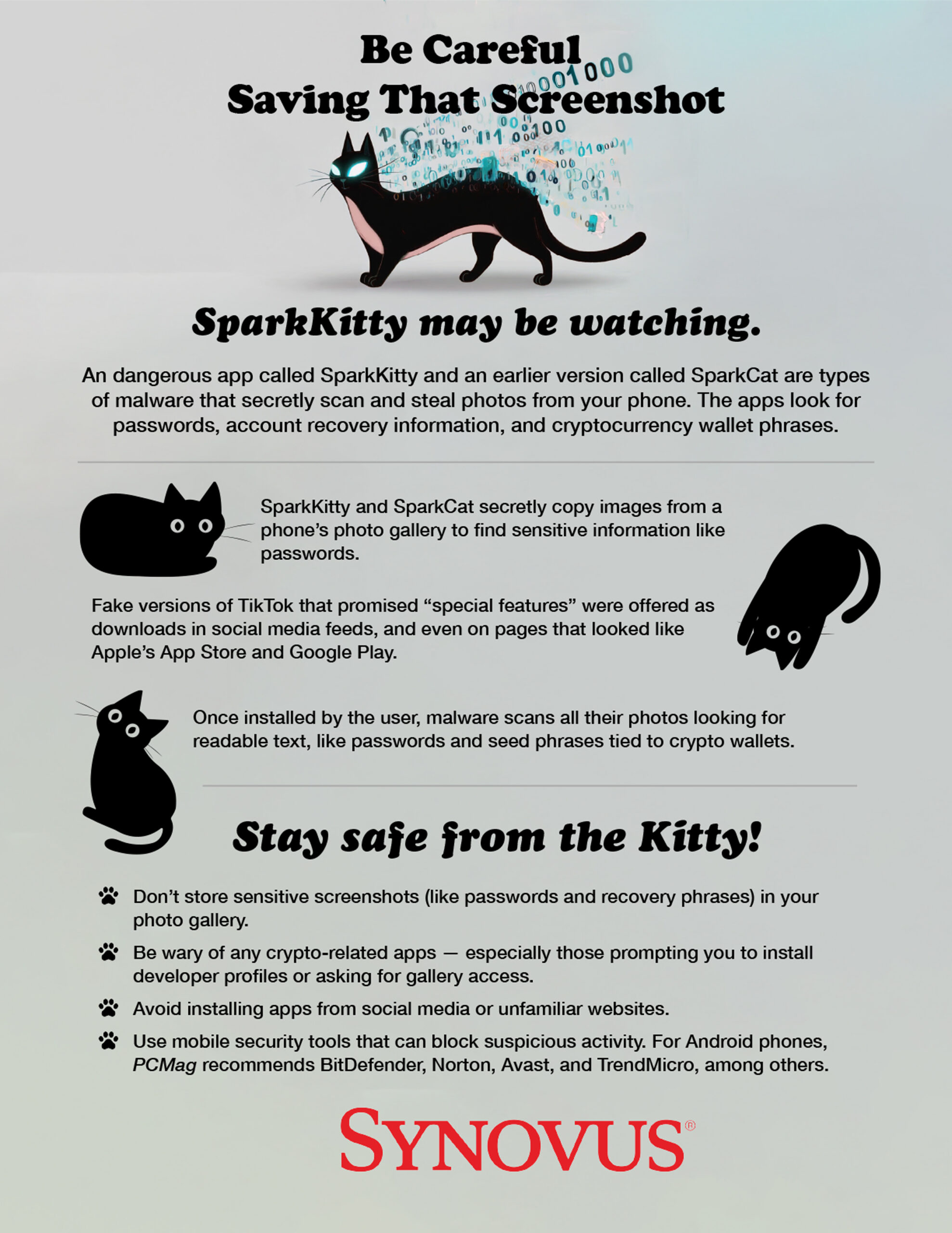 Synovus | sparkkitty