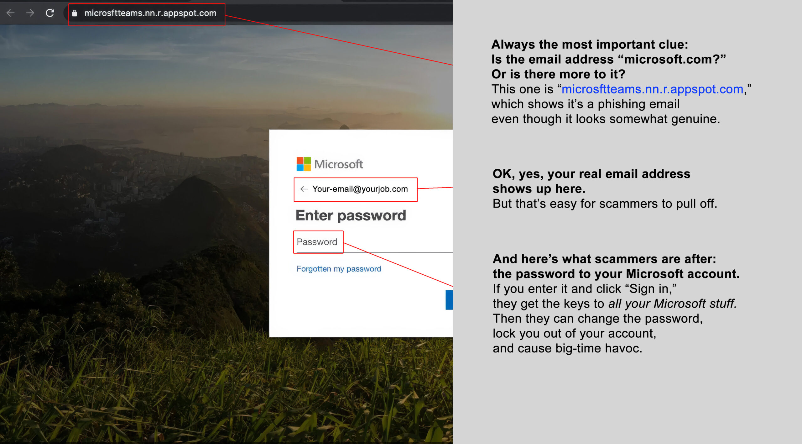Microsoft phish right