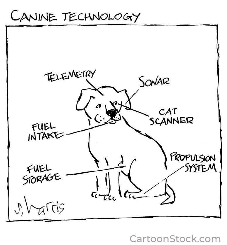One More Thing | Feb A Cartoon