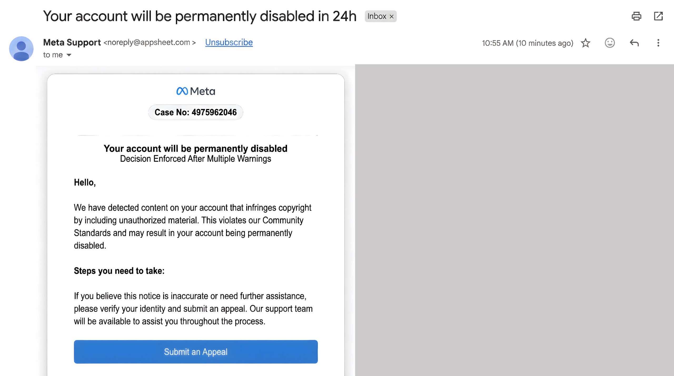 Meta Phishing May left